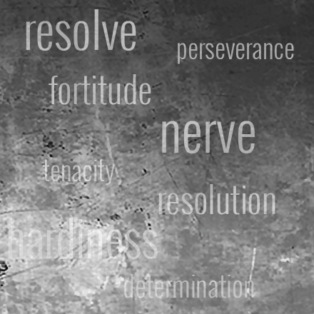Grit Perseverance Resolution
