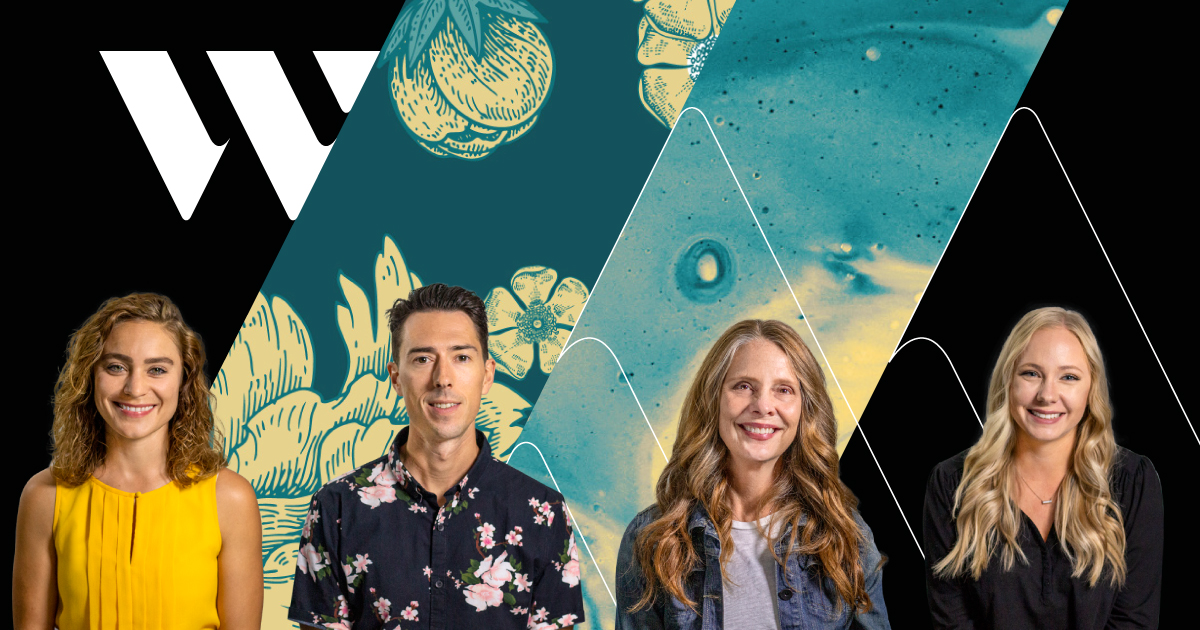 Rectangular image, divided into fourths by diagonal lines. From left to right: Emily in front of a black screen, Dustin in front of a floral pattern, Christelle in front of a swirly pattern, and Megan in front of a black screen. There is a white W on the top left of the frame.