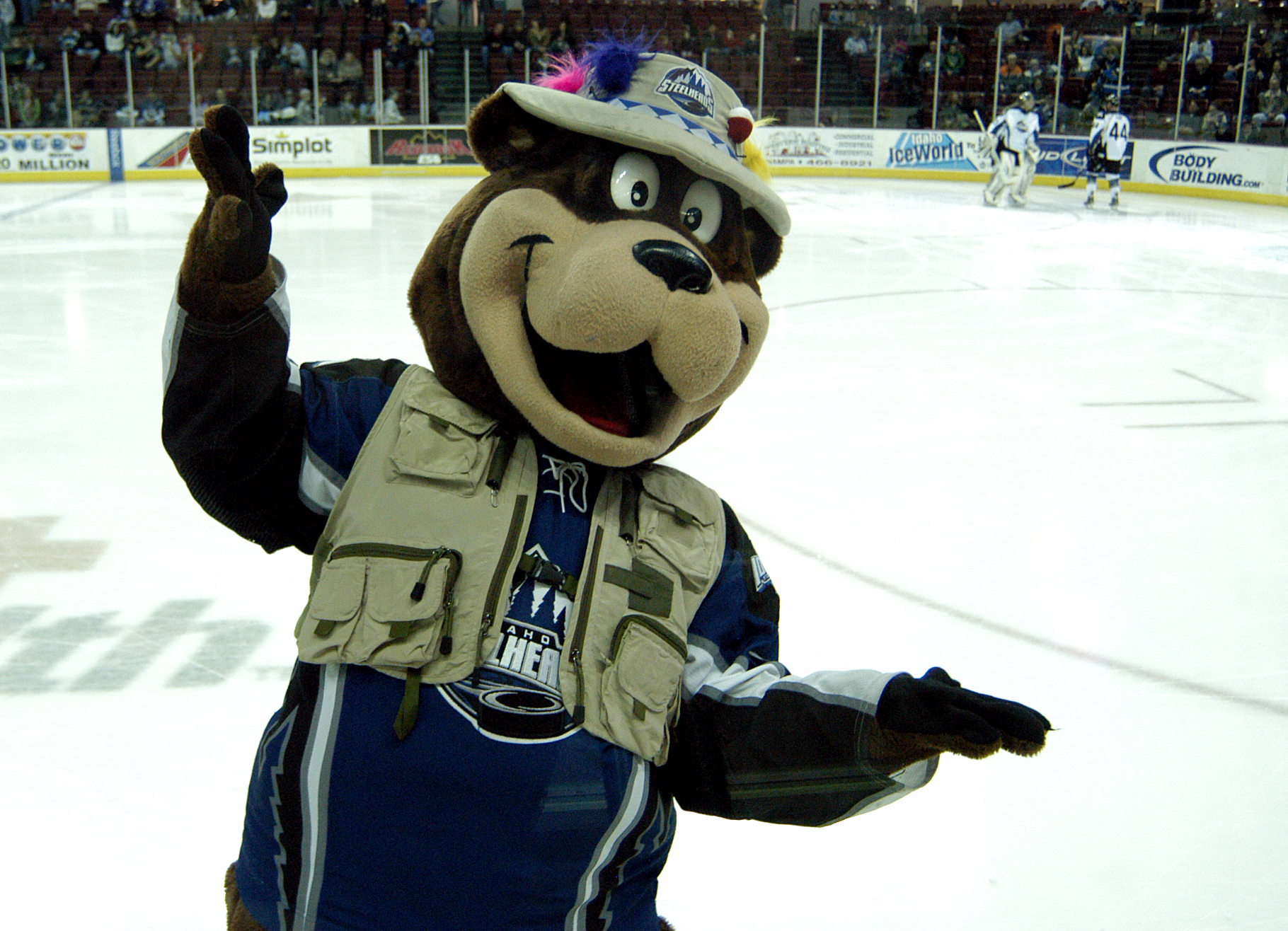 Idaho Steelheads hockey mascot named "Blue the bear" who was created by The Idaho Steelheads Ad agency in Boise Idaho, 116 & West